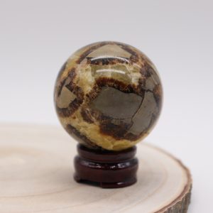 Pierre Septaria Sphère 1 - Pièce unique