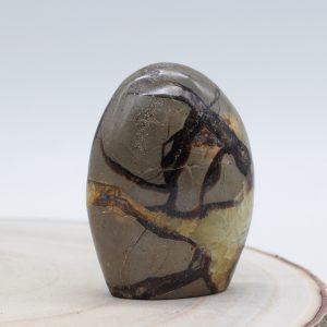 Pierre forme libre Septaria 1 M