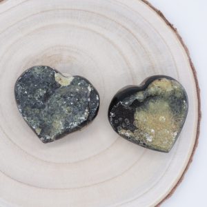 Coeur Pierre Septaria Sauvage M