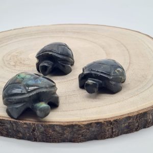 Tortue Labradorite reflets S